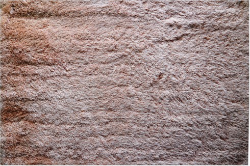Carpet 30-502