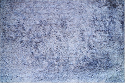 Carpet 30-503