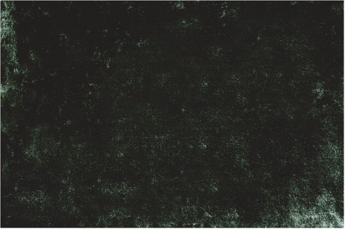Carpet 30-507