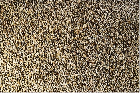 Carpet 30-154