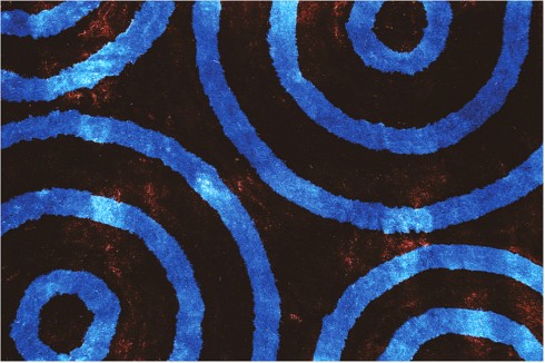 Carpet 30-157