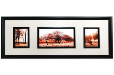 Trees 3 in 1 Picture