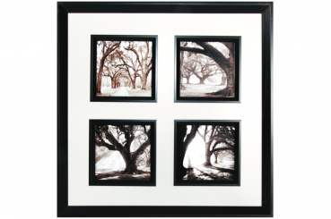 Trees 4 in 1 Picture